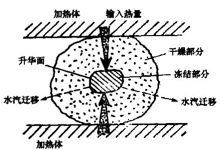 分享